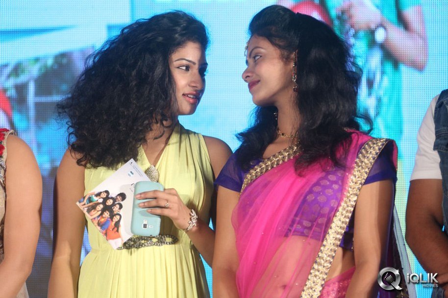 Nenu-Naa-Friends-Movie-Audio-Launch